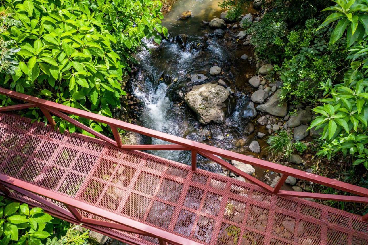 La Terraza Guest House B&B Grecia Dış mekan fotoğraf